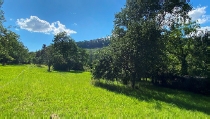 Garten_11