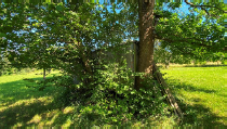 Garten_22