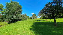 Garten_33