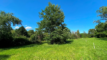 Garten_44